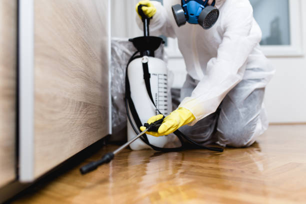  Saline, MI Pest Control Pros