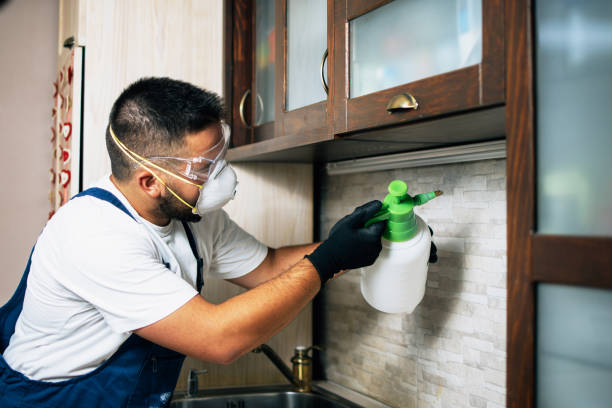 Best Wildlife Control Services  in Saline, MI