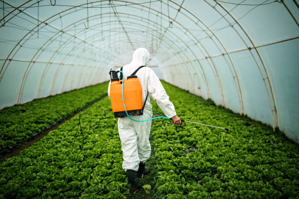 Best Pest Control Near Me  in Saline, MI