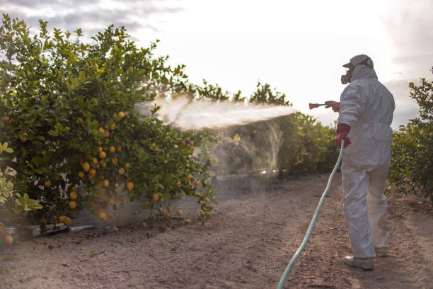 Best Best Pest Control Companies  in Saline, MI