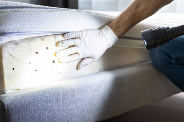 Best Bed Bug Extermination  in Saline, MI