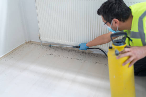 Best Termite Control Services  in Saline, MI