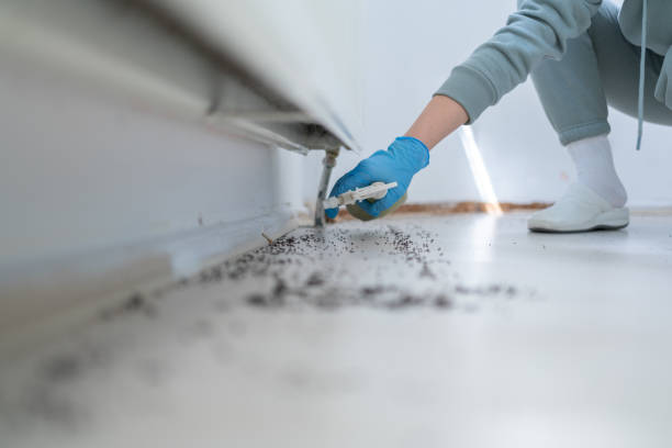 Best Wildlife Control Services  in Saline, MI